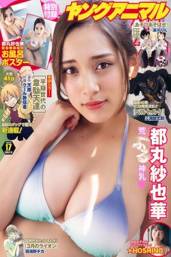 似火流年